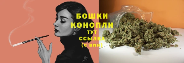 гидропоника Бугульма