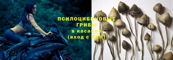 гидропоника Бугульма