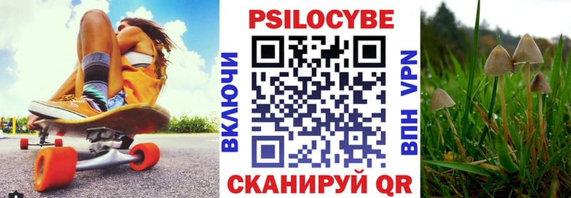 Псилоцибиновые грибы Magic Shrooms  Химки 